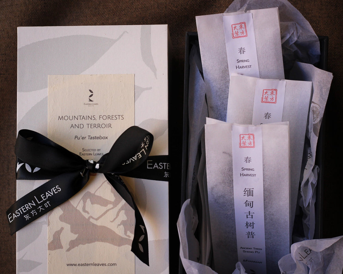 Mountains, forests and terroir - Pu'er tea Tastebox - Eastern Leaves
