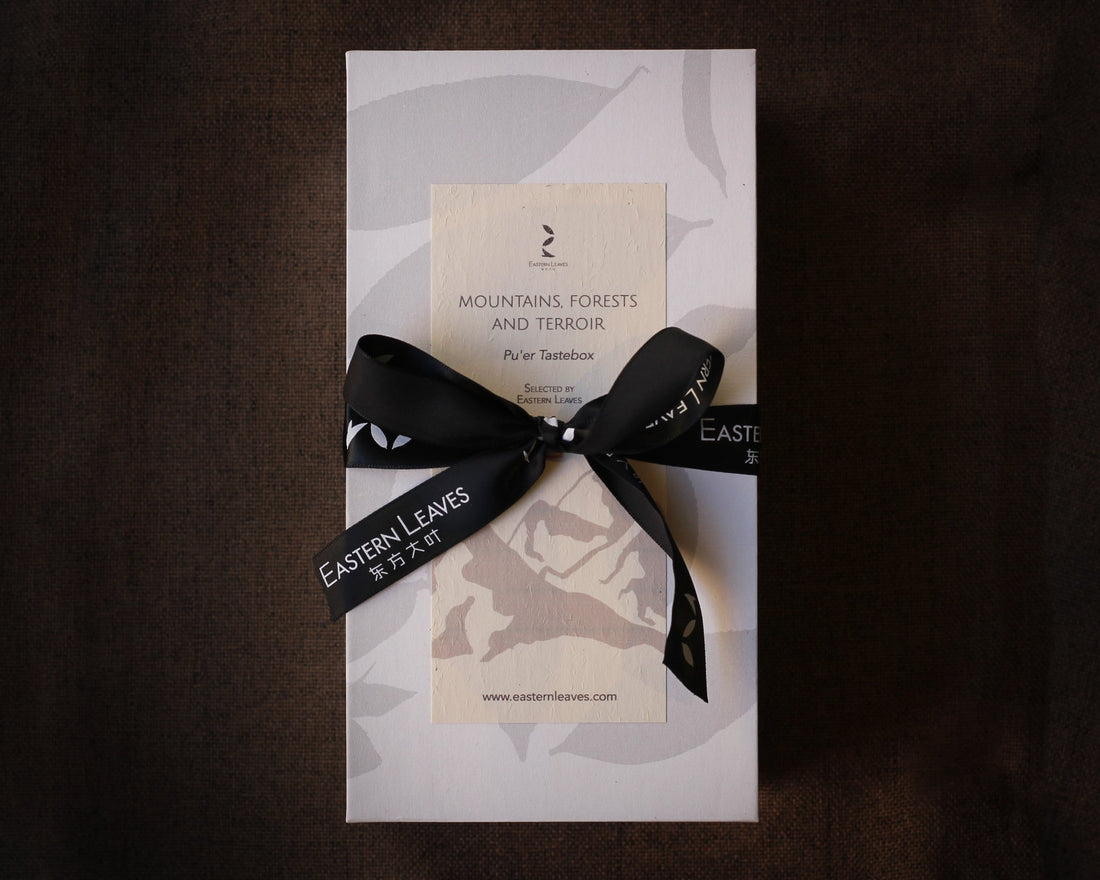 Mountains, forests and terroir - Pu'er tea Tastebox - Eastern Leaves