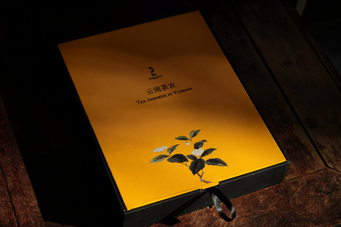 10 years anniversary Pu'er Shengpu, Forest Tea Stone - pressed cake - Eastern Leaves