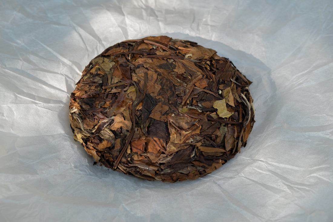 2012 Lao Shoumei 老寿眉 - Aged white tea, Stone - pressed cake - Eastern Leaves