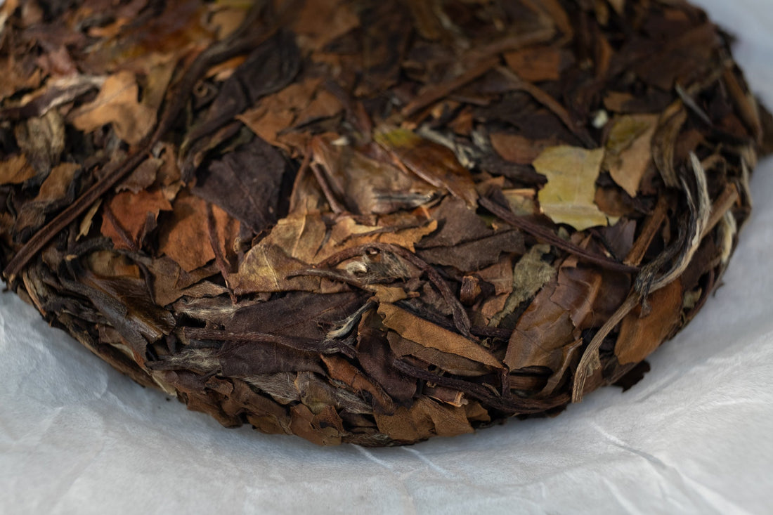 2012 Lao Shoumei 老寿眉 - Aged white tea, Stone - pressed cake - Eastern Leaves