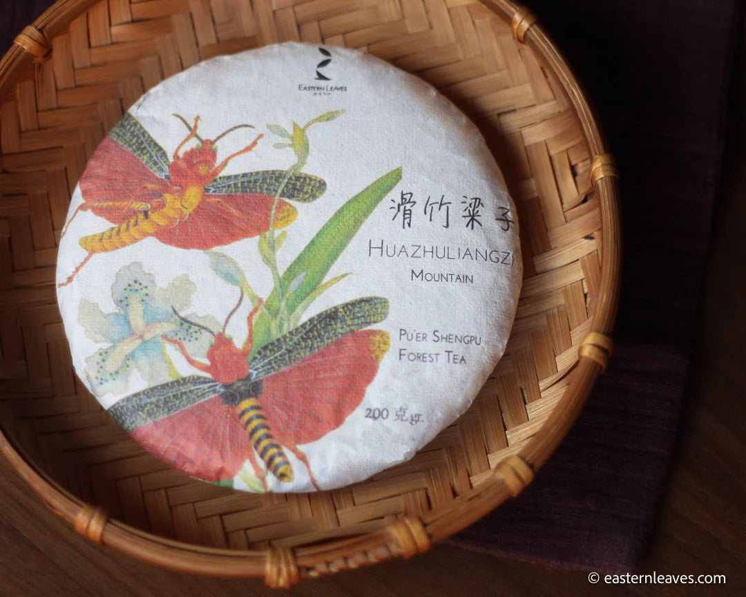Mountains, forests and terroir - Pu'er tea Tastebox