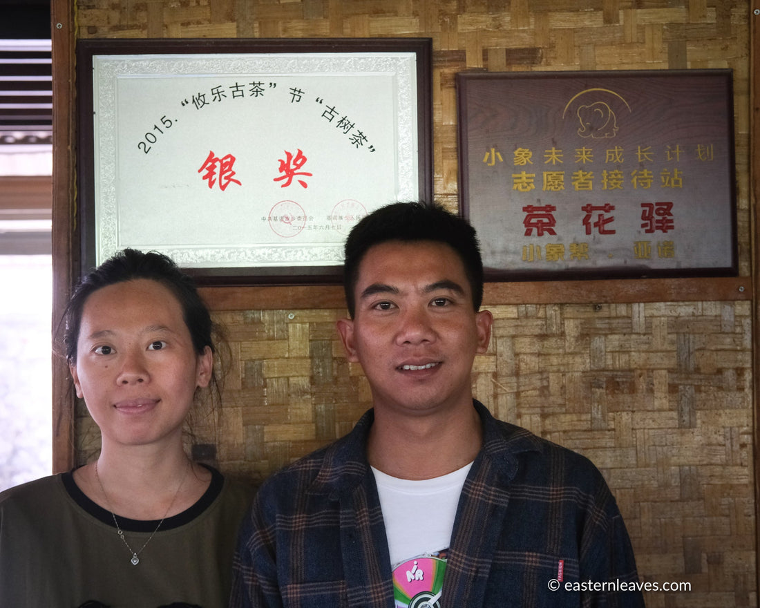 2022 Youle Sheng Pu'er, Wild Forest Stone-pressed cake