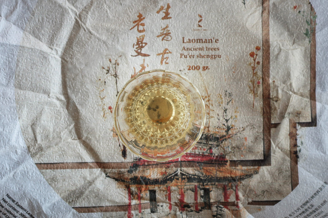 2023 Laoman'e Ancient Trees Shengpu - Stone - pressed cake - Eastern Leaves