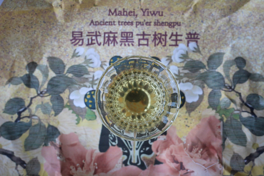 2023 Mahei Shengpu 麻黑 - Yiwu Terroir, Autumn harvest - Eastern Leaves