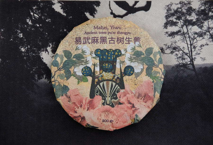 2023 Mahei Shengpu 麻黑 - Yiwu Terroir, Autumn harvest - Eastern Leaves