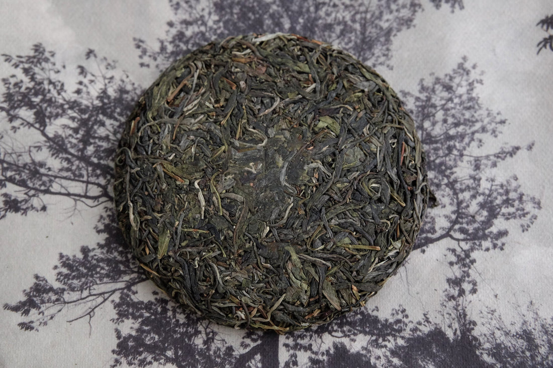 2024 Pu'er Shengpu, Tea Forest Stone - pressed cake - Eastern Leaves