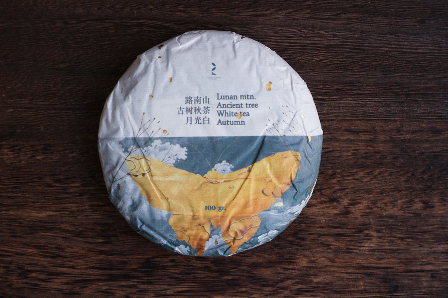 2024 Yueguangbai White Tea, Ancient Tree - Autumn harvest - Eastern Leaves