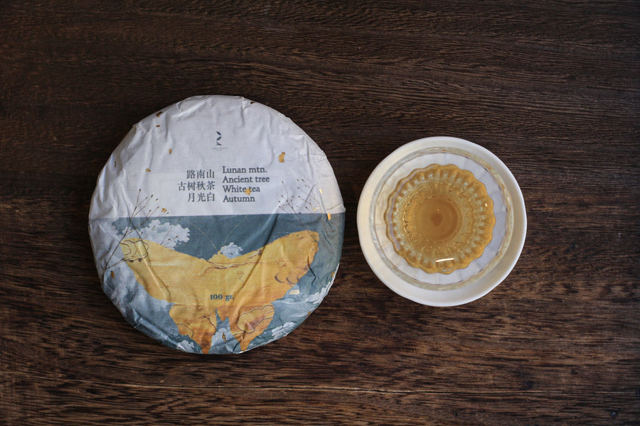 2024 Yueguangbai White Tea, Ancient Tree - Autumn harvest - Eastern Leaves