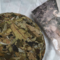 2024 Yueguangbai White Tea, Wild Forest stone - pressed cake - Eastern Leaves