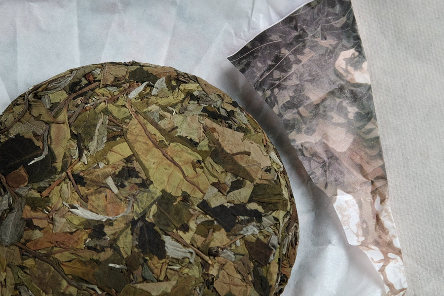 2024 Yueguangbai White Tea, Wild Forest stone - pressed cake - Eastern Leaves