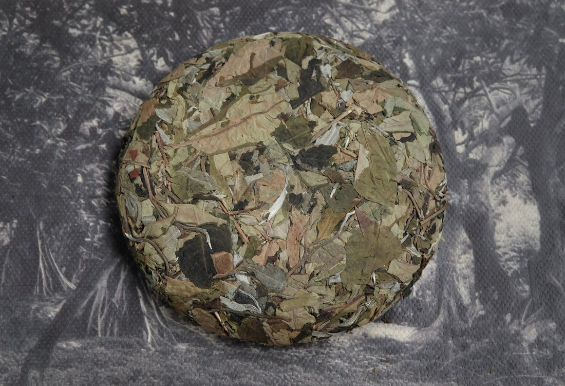 2024 Yueguangbai White Tea, Wild Forest stone - pressed cake - Eastern Leaves