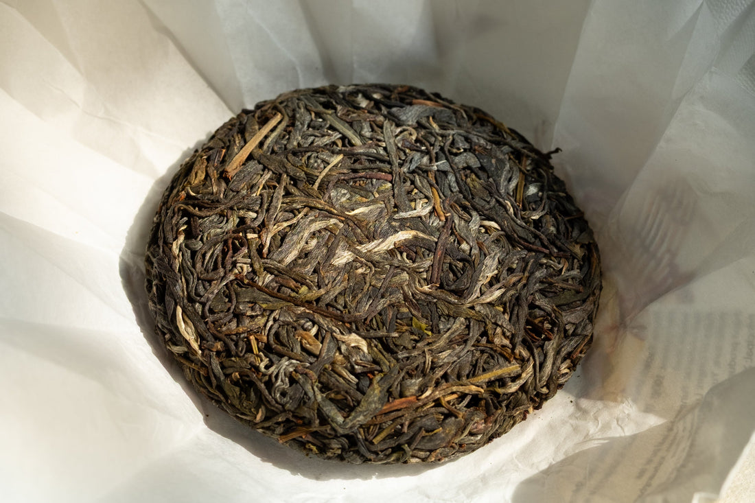 2025 Lunan Sheng Pu'er, Ancient Trees Stone - pressed cake - Eastern Leaves