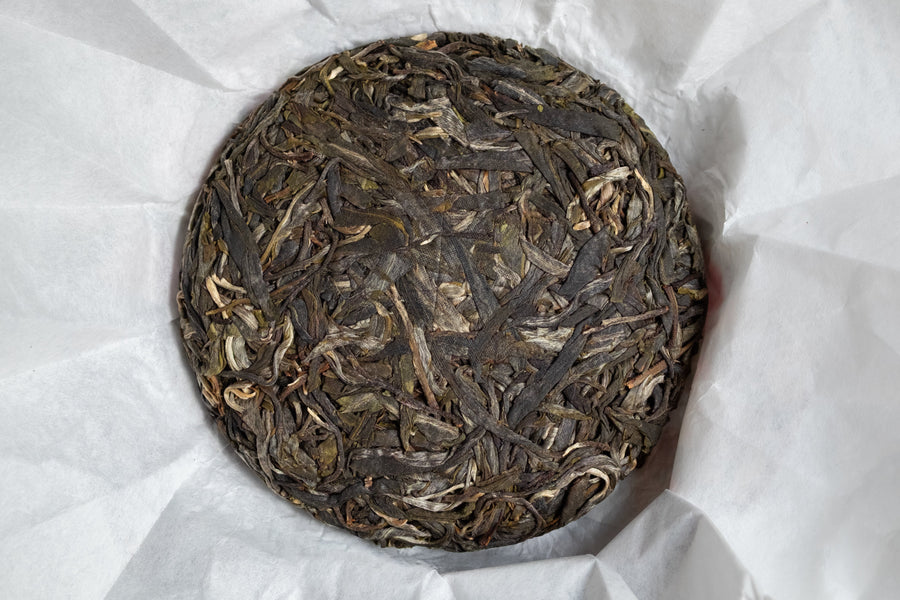 2025 Nannuo Sheng Pu'er, Wild Forest Stone - pressed cake - Eastern Leaves
