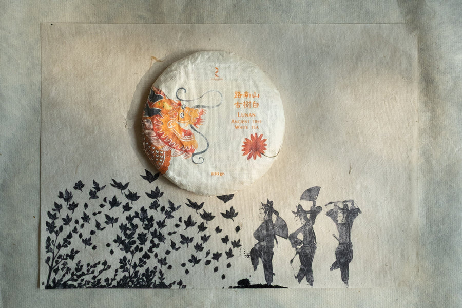 2025 Yueguangbai White Tea, Ancient Tree Stone - pressed cake - Eastern Leaves
