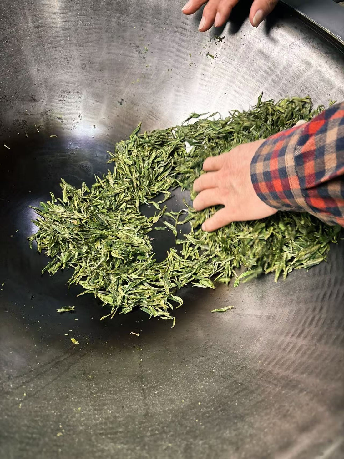 Xihu Longjing 西湖龙井 - Original cultivar, Pre-Qingming