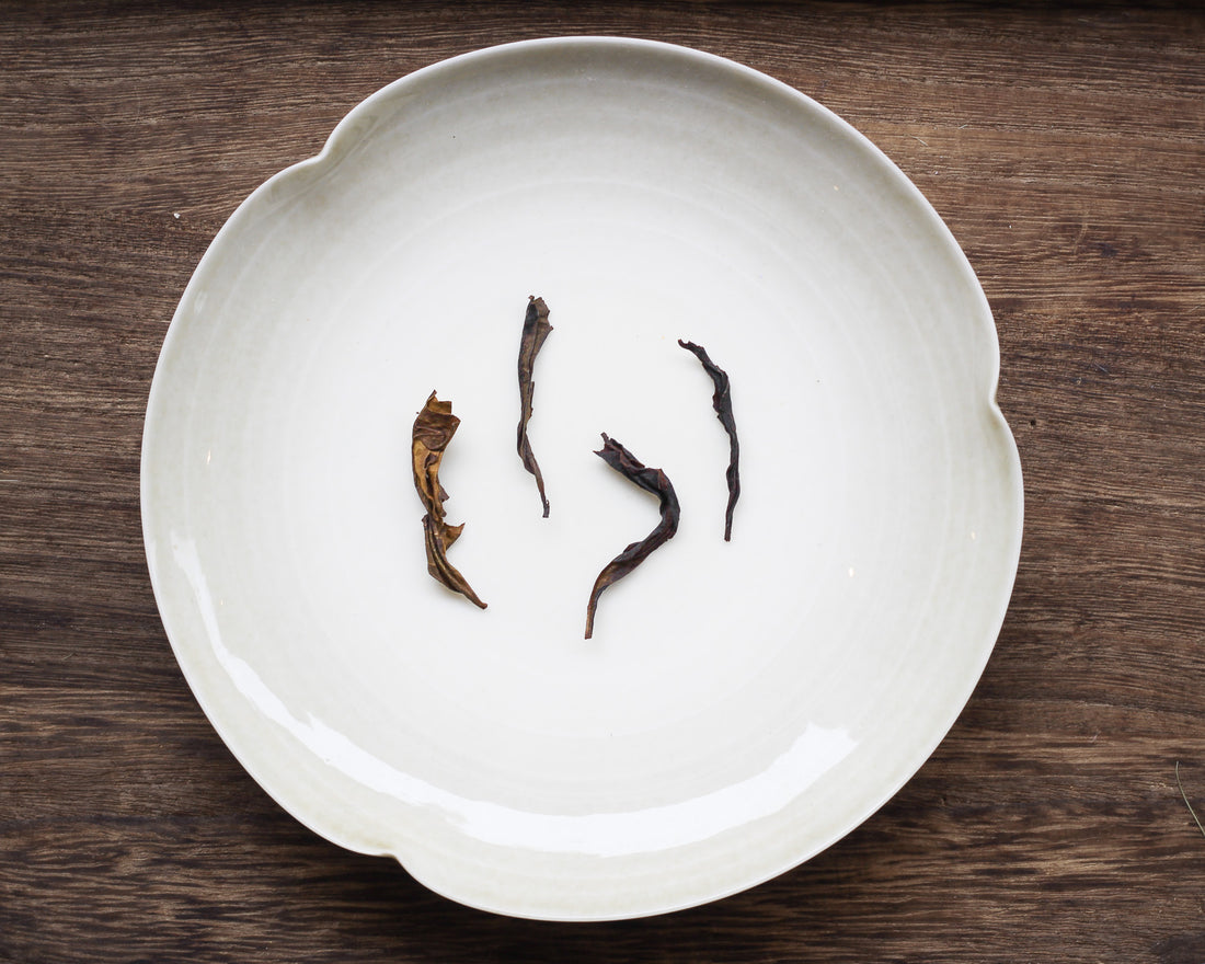 2026 Shoumei 寿眉 - Rolled White Tea, loose leaf