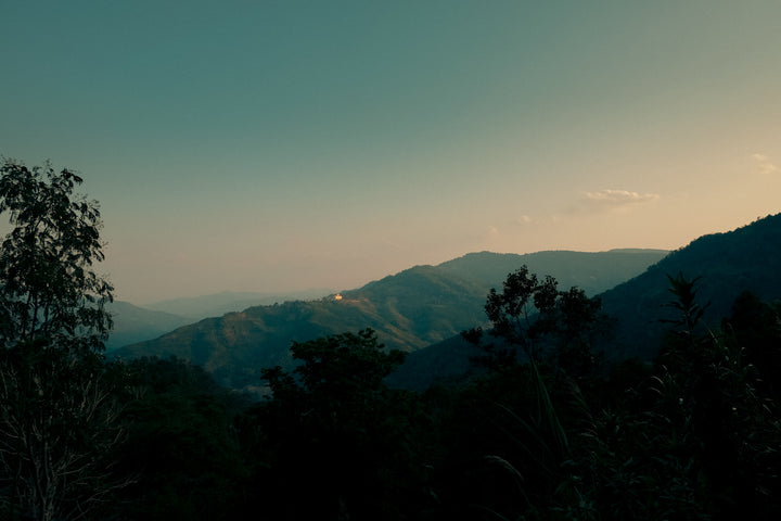 Six Ancient Pu'er Mountains, Tea Club