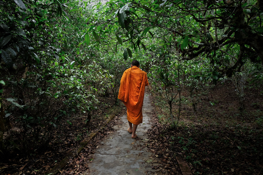 The Human Path: Stories of Everyday People on the Ancient Tea Horse Road. September 28th, 2:30 pm