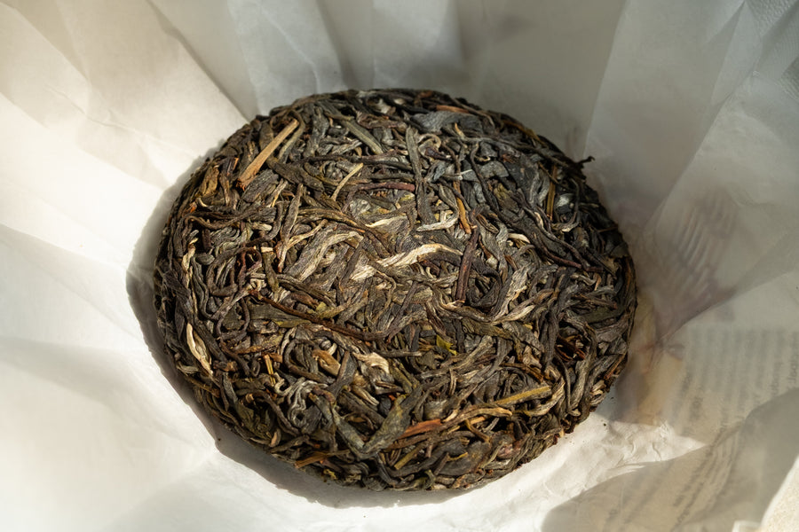 Pu'er Sheng di Lunan 2025, Tè di Alberi Antichi pressato a pietra