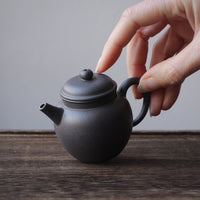 Wu hui Deyun 焐灰德韵 - Yixing Teapot in Benshanluni green clay