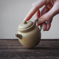 Deyun 德韵 - Yixing Teapot in Benshanluni green clay
