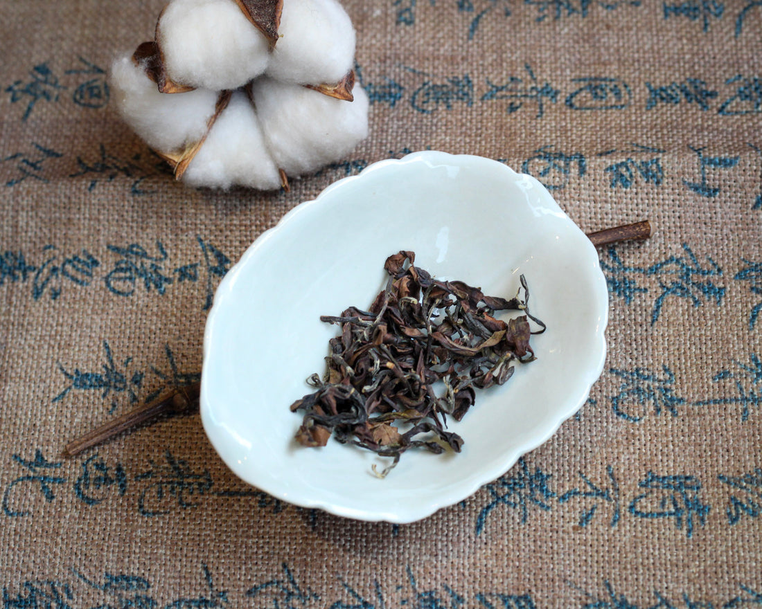 Yunnan Oriental Beauty 云南东方美人 - Tè Wulong bitten