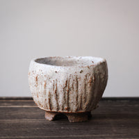 White Elephant - 120 ml Dai cup