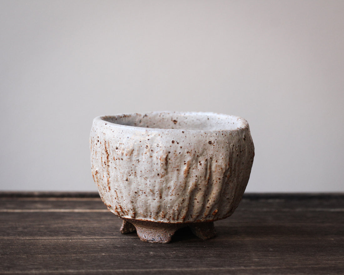 White Elephant - 120 ml Dai cup