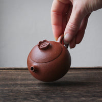 Shi Liu 石榴 - Teiera Yixing in argilla rossa Jiangponi