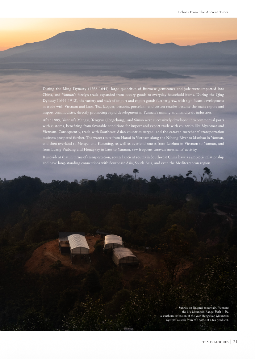 Tea Dialogues Magazine