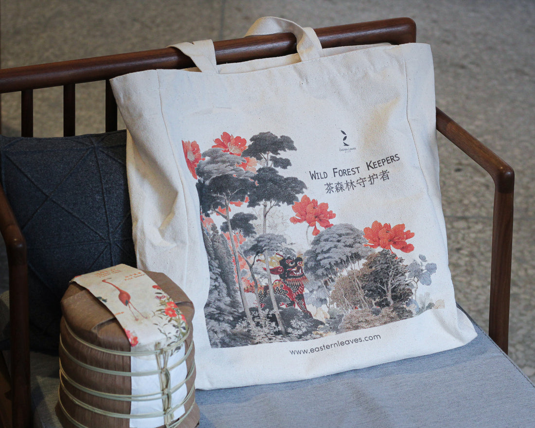 The Six Ancient Tea Mountains 古六大茶山 - 2025 Sheng Pu'er tea