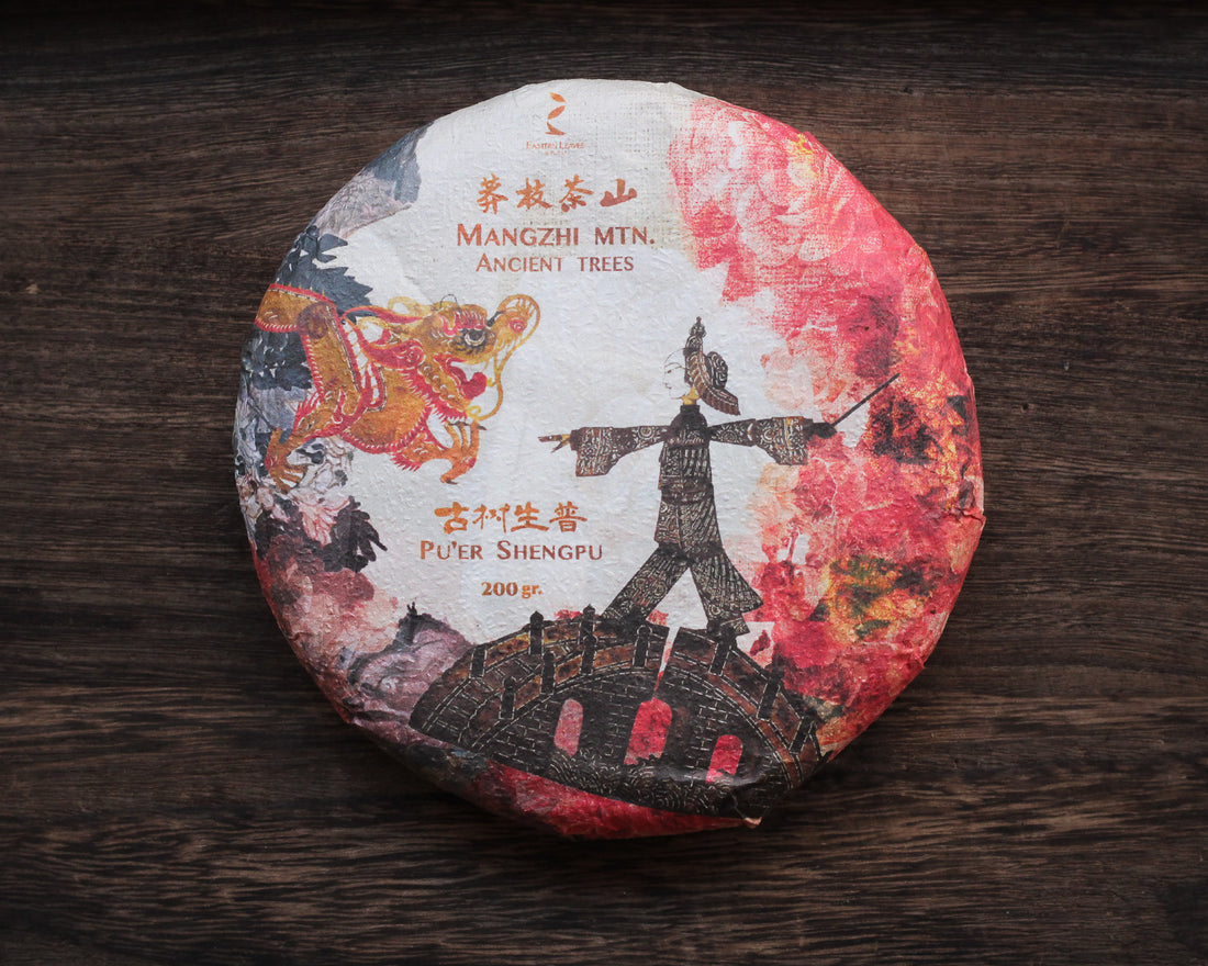 Le Sei Antiche Montagne 古六大茶山 - Tè Pu'er Sheng di primavera 2025