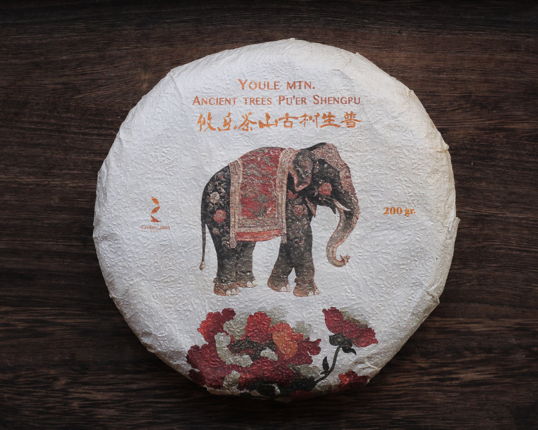 Le Sei Antiche Montagne 古六大茶山 - Tè Pu'er Sheng di primavera 2025