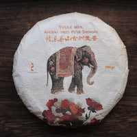 Le Sei Antiche Montagne 古六大茶山 - Tè Pu'er Sheng di primavera 2025