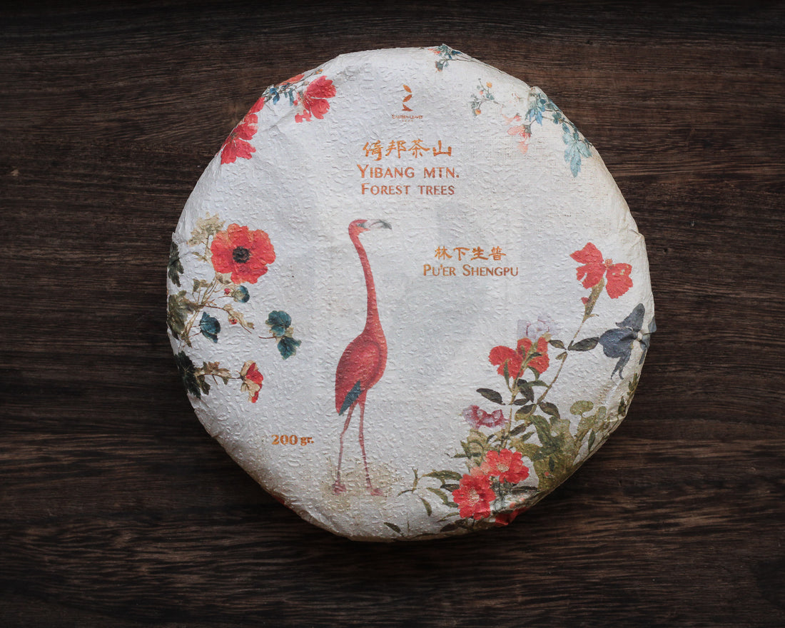 Le Sei Antiche Montagne 古六大茶山 - Tè Pu'er Sheng di primavera 2025