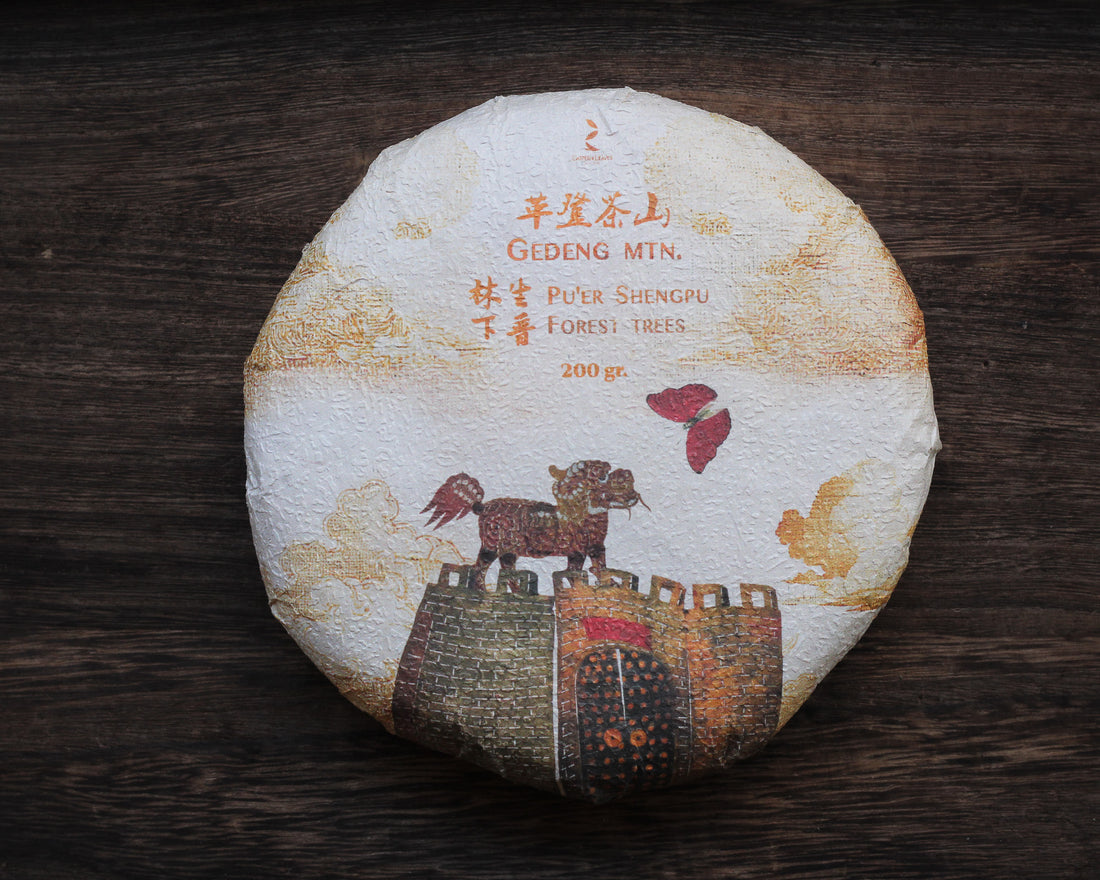 Le Sei Antiche Montagne 古六大茶山 - Tè Pu'er Sheng di primavera 2025