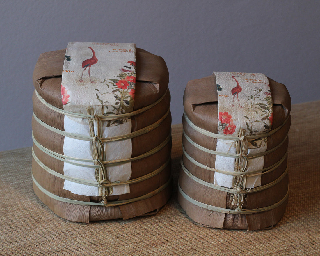 Le Sei Antiche Montagne 古六大茶山 - Tè Pu'er Sheng di primavera 2025