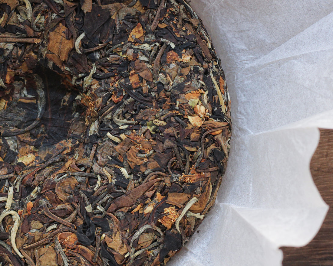 2025 Nannuo Tea Flowers and White Tea Leaves, Wild Forest stone-pressed Cake