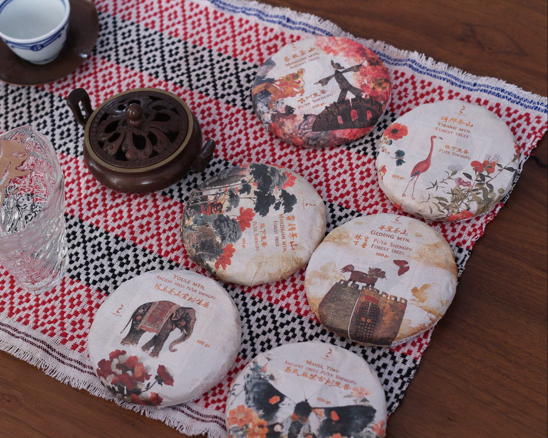 Le Sei Antiche Montagne 古六大茶山 - Tè Pu'er Sheng di primavera 2025