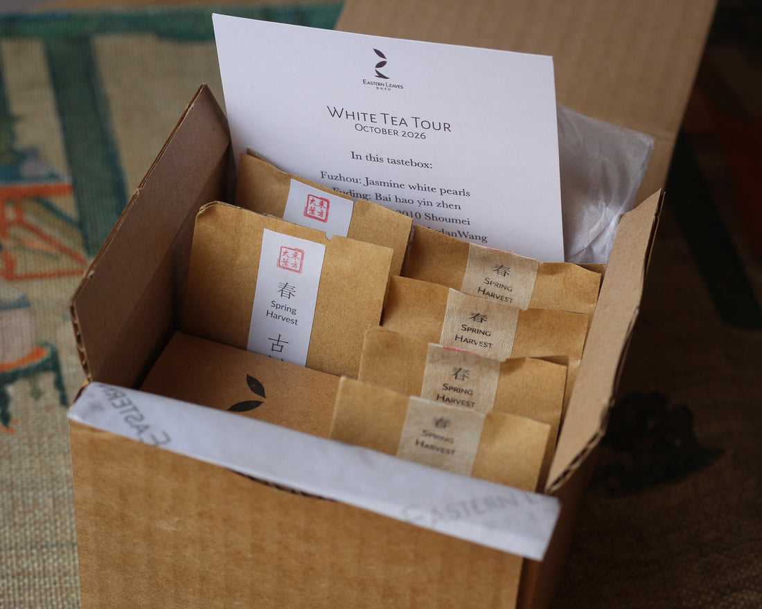 Tastebox: White Tea Tour, October 2026