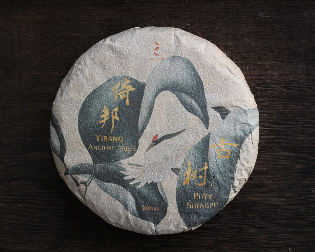 2026 Yibang Sheng Pu'er, Ancient Trees Stone-pressed cake
