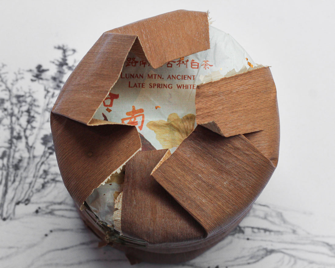 2026 Yueguangbai, Late Spring - Ancient Trees White Tea Stone-pressed cake