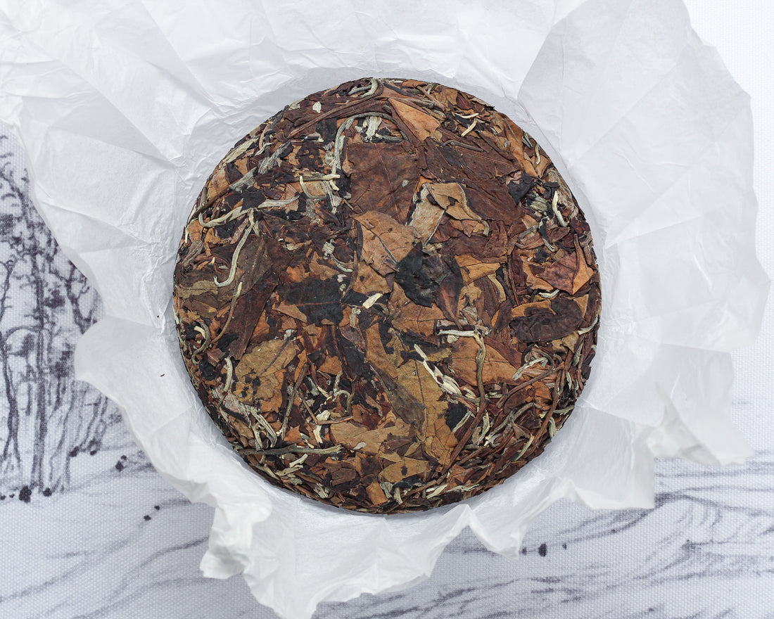 2026 Yueguangbai, Late Spring - Ancient Trees White Tea Stone-pressed cake