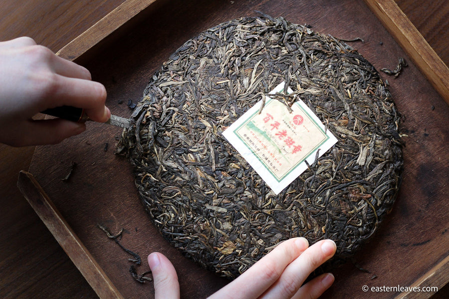 Aging Pu'er Tea: Rare Shengpu Selections - Berlin Tea Sunday, November 24th 4 - 6 pm - Eastern Leaves