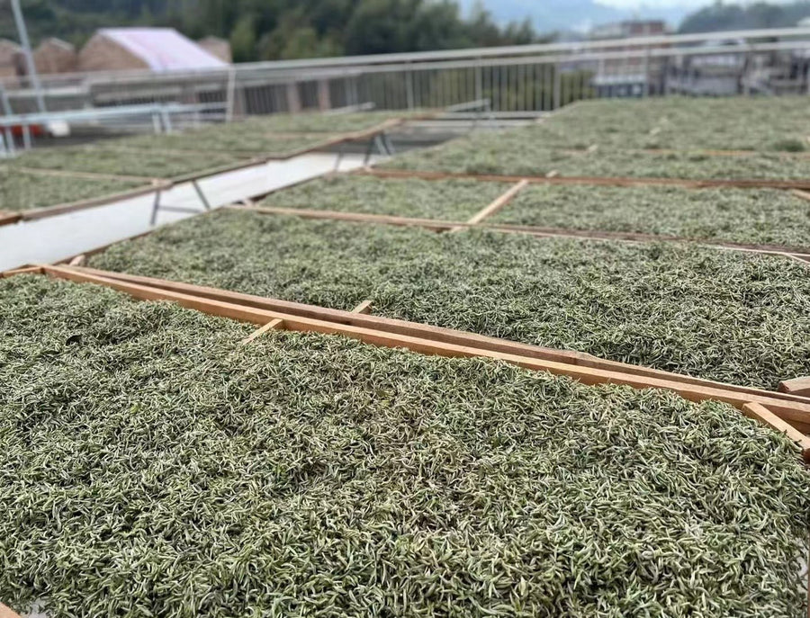 Bai Mudan - White Peony Tea - Eastern Leaves