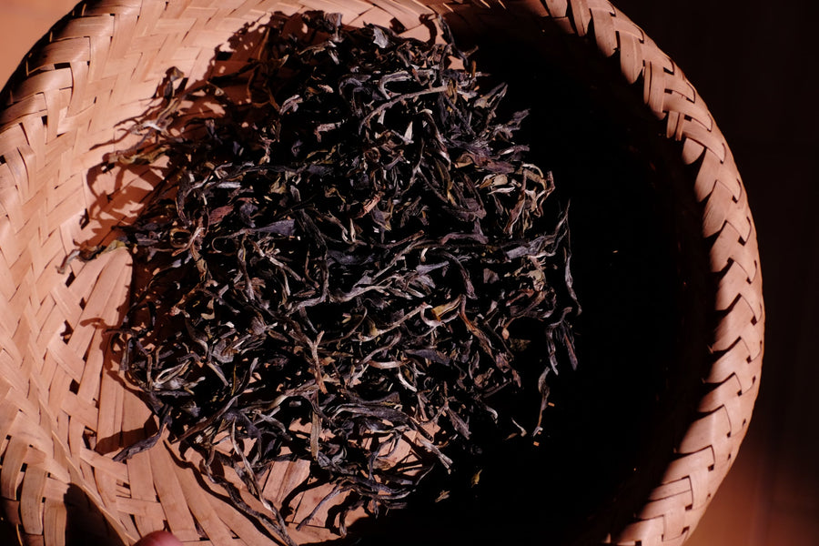 Eastern Tea Club, Chapter 3: Six Ancient Tea Mountains 古六大茶山 - Eastern Leaves