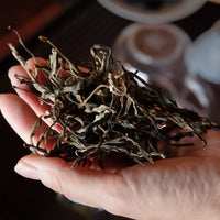 Eastern Tea Club, Chapter 3: Six Ancient Tea Mountains 古六大茶山 - Eastern Leaves