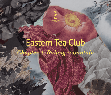 Eastern Tea Club, Chapter 4: Bùlǎng 布朗 - Eastern Leaves