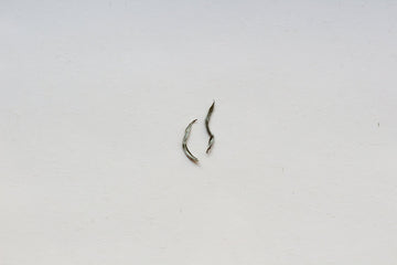 Jade buds - Yunnan Green Tea - Eastern Leaves